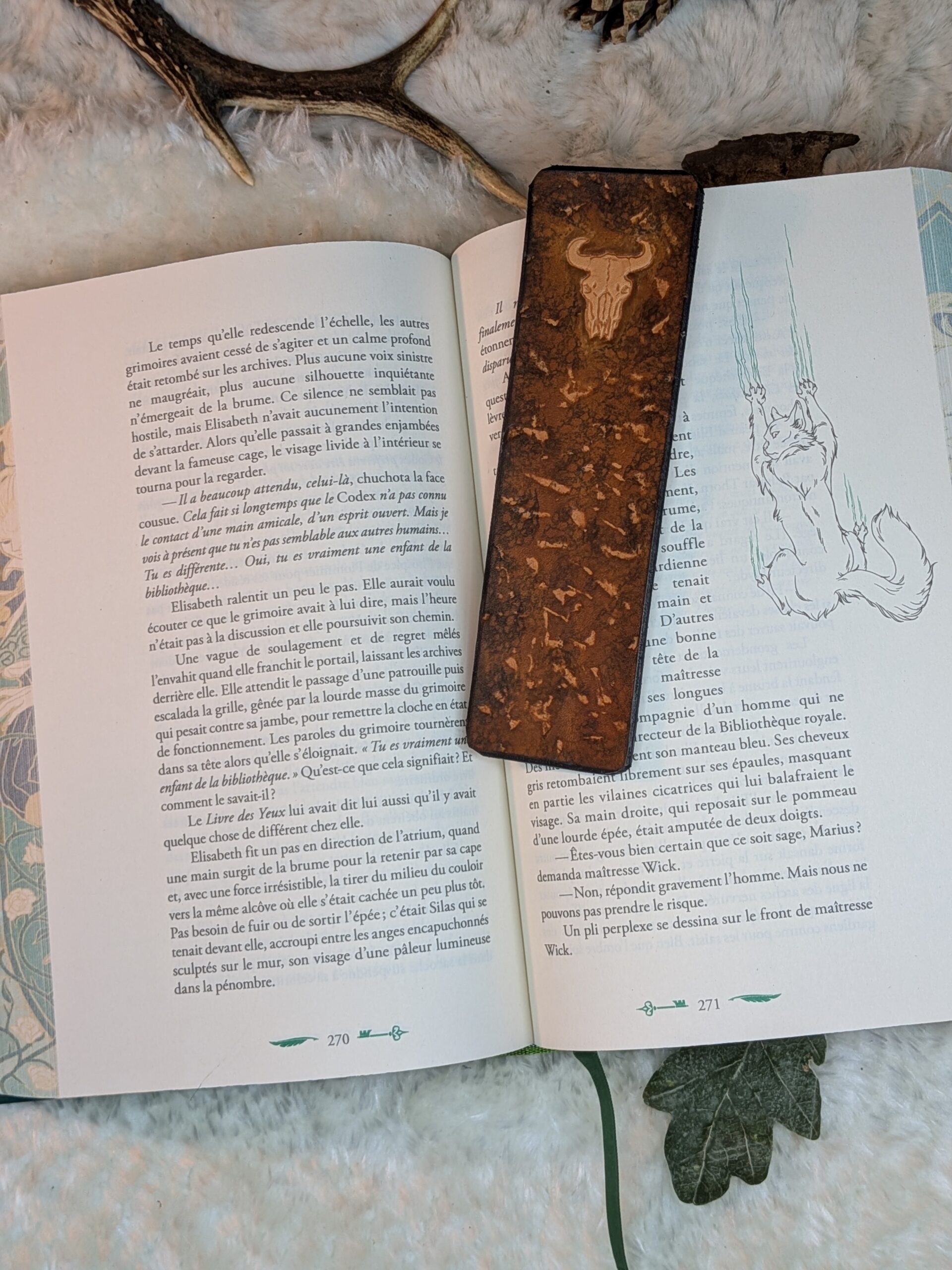 Crâne de Bœuf - Vue 3